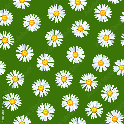 Daisy flower seamless vector pattern