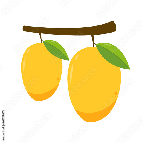 Mango vector. mango on white background. symbol. logo design.