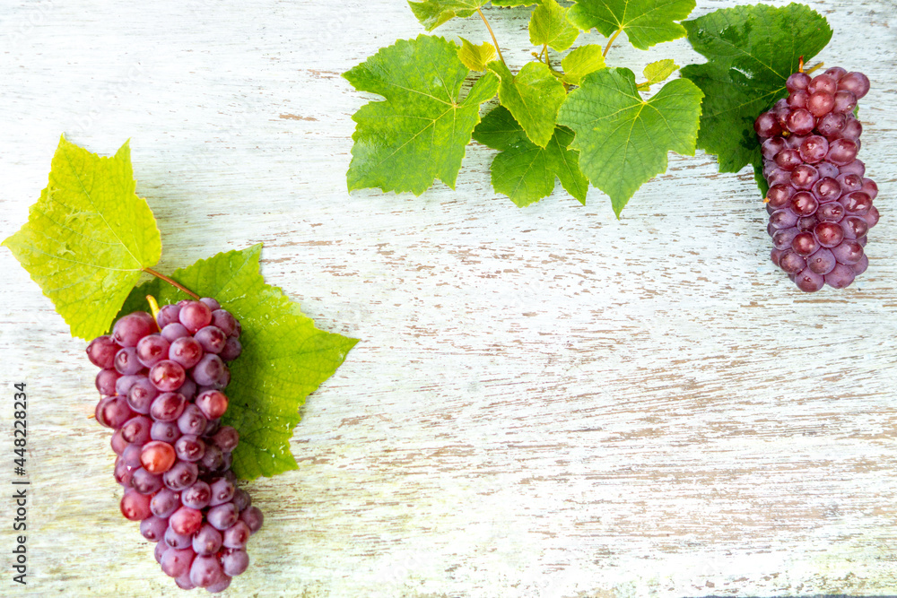 ブドウのフレーム デラウェア フルーツのボタニカルフレーム背景画像 葡萄の葉っぱ Grape Stock Photo Adobe Stock