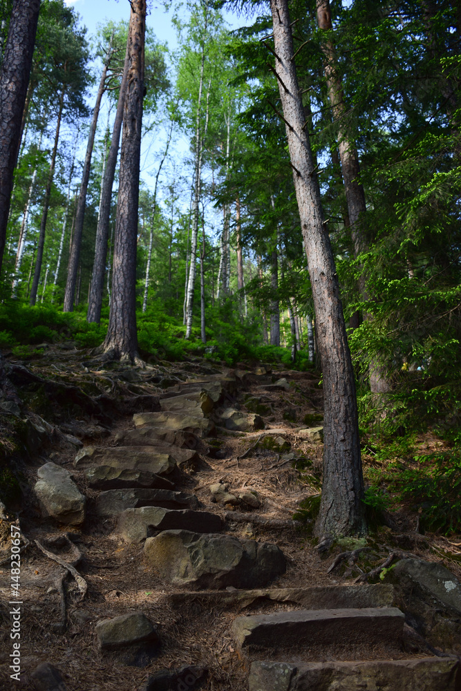 Staircase made of stones in a summer forest for climbing a hill or mountain Staircase made of stones in a summer forest for climbing a hill or mountain
