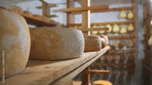 Fresh soft cow cheese with mold close-up. Sunny farm on blurred background. Countryside lifestyle. Eco business. Healthy nutrition.