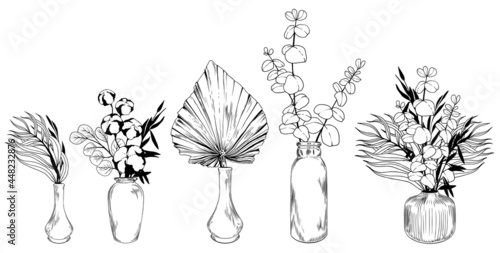 Set of boho vases with eucalyptus, cotton and palm leaves. Black and white vector illustration.
