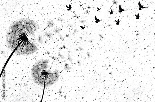 Plakat Dmuchawce z ptakami na wietrze