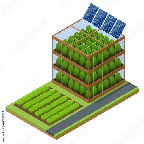 Isometric modern aeroponic hydroponics farm. Future Plant food production. Plant food production in vertically stacked layers. Fresh organic vegetable grown using aquaponic or hydroponic farming. photo