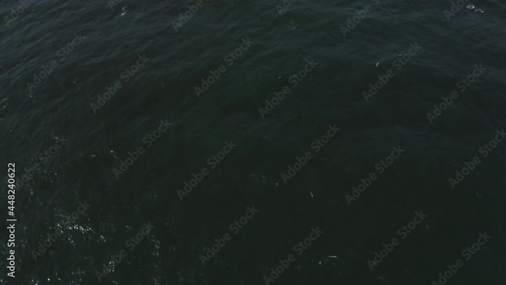 4k Aerial shot of the surf town Byron bay, Australia. Surfers enjoying the beautiful ocean waves by the shore. 4k Aerial shot of the surf town Byron bay, Australia. Surfers enjoying the beautiful ocean waves by the shore.
