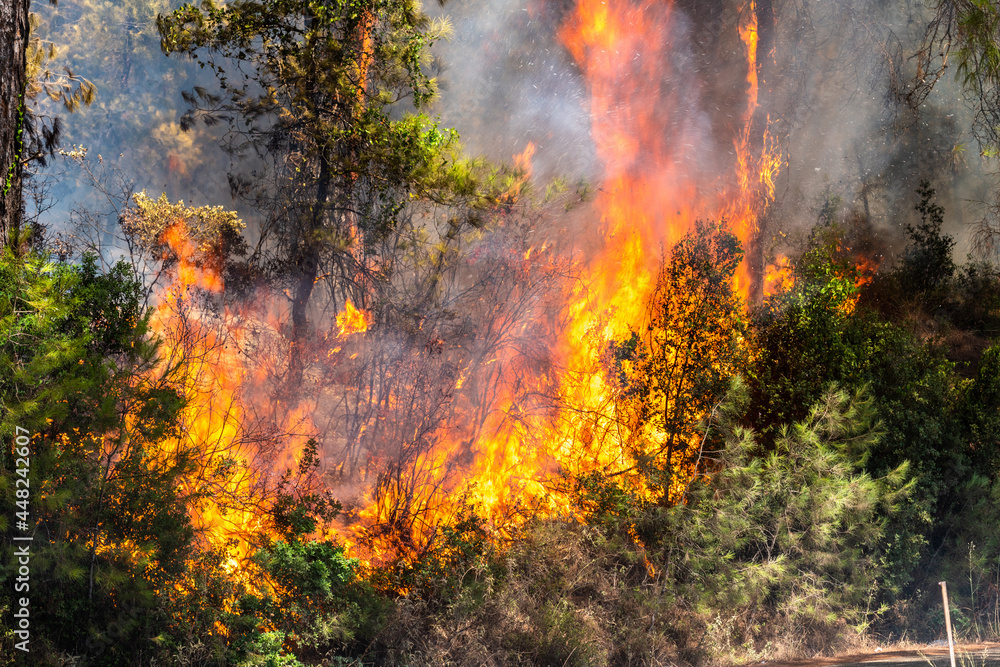 Flames of forest fire near Marmaris resort town of Turkey.