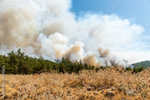 Smoke from a forest fire rising over Marmaris resort town of Turkey.