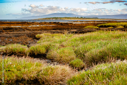 Photos Isle of Skye coast salt marsh and sedimentary rocks at low tide selective focus