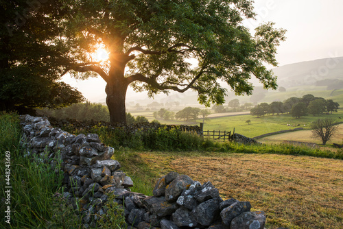 Obraz na płótnie evening sunlight in summer over the Yorkshire Dales near Hawes
