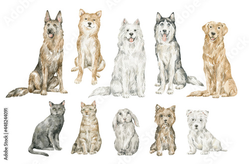 Photography Watercolor set with cute domestic animals