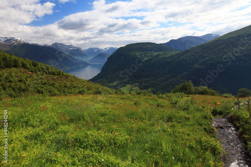 Eidsdal countryside and fjord, Norwegian Scenic Route Geiranger-Trollstigen  © nikidel