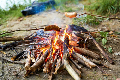 Children frying sausages over a fire in woods.