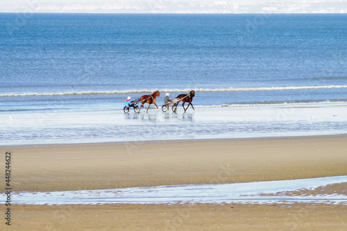 Deux entraineurs en sulky avec leurs chevaux sur la plage de Cabourg en Normandie