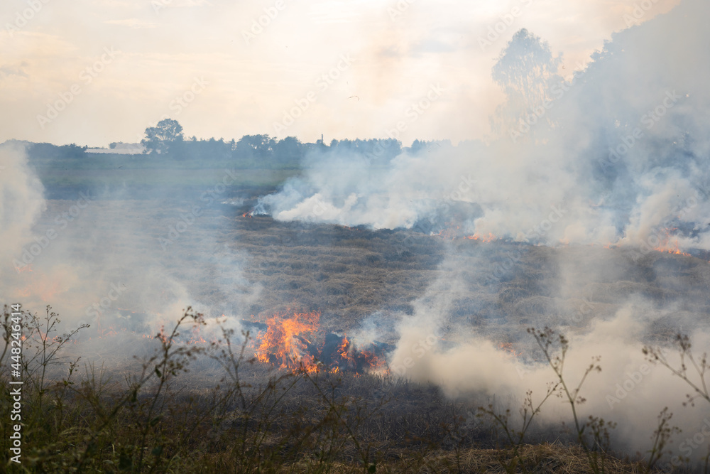 A view of the many smoke from the burning of straw in the rice fields.