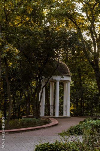 A white rotunda among the trees at dusk