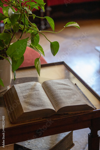 old book and a plant