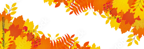 Beautiful colorful autumn leaves decorative frame, in the corners, on a white background