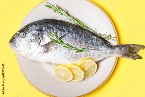 Plate with raw dorado fish on color background