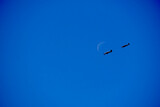 Planes and the moon