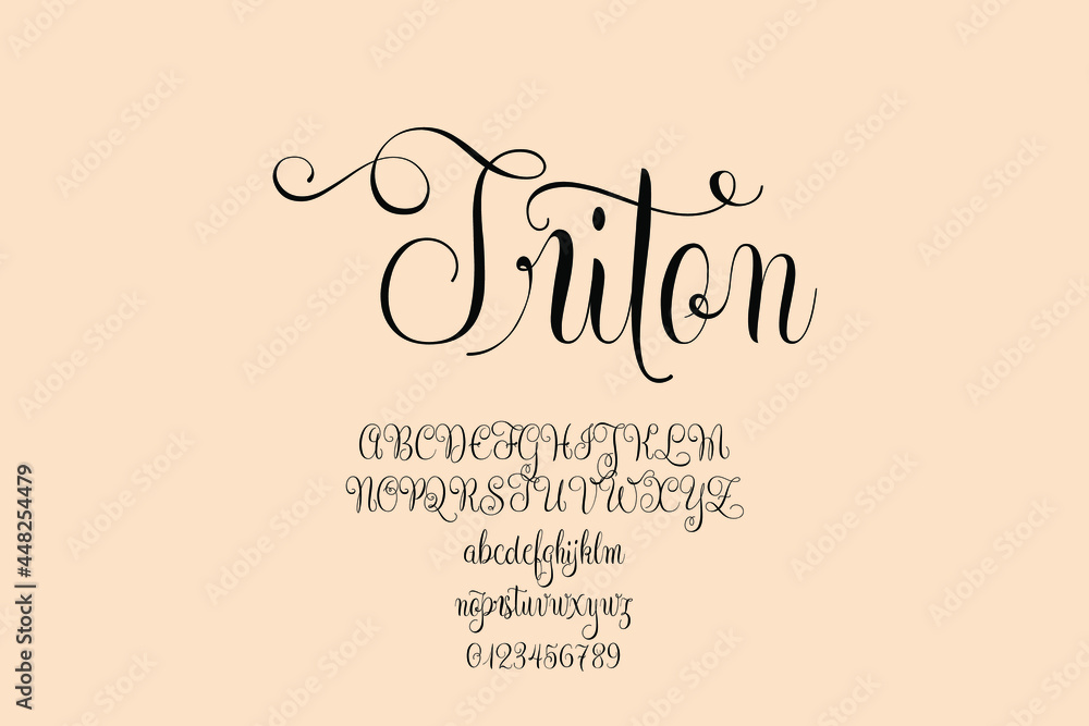 Vintage decorative font with label design and background pattern