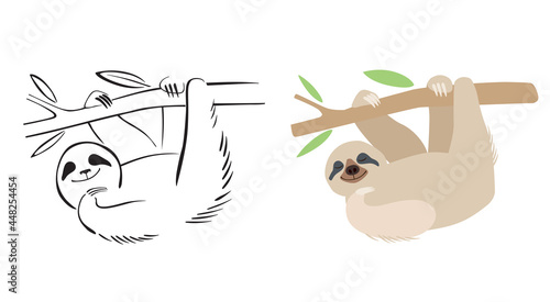 A cute sloth hangs on a branch. Line drawing and shaping color graphics. Options for the logo