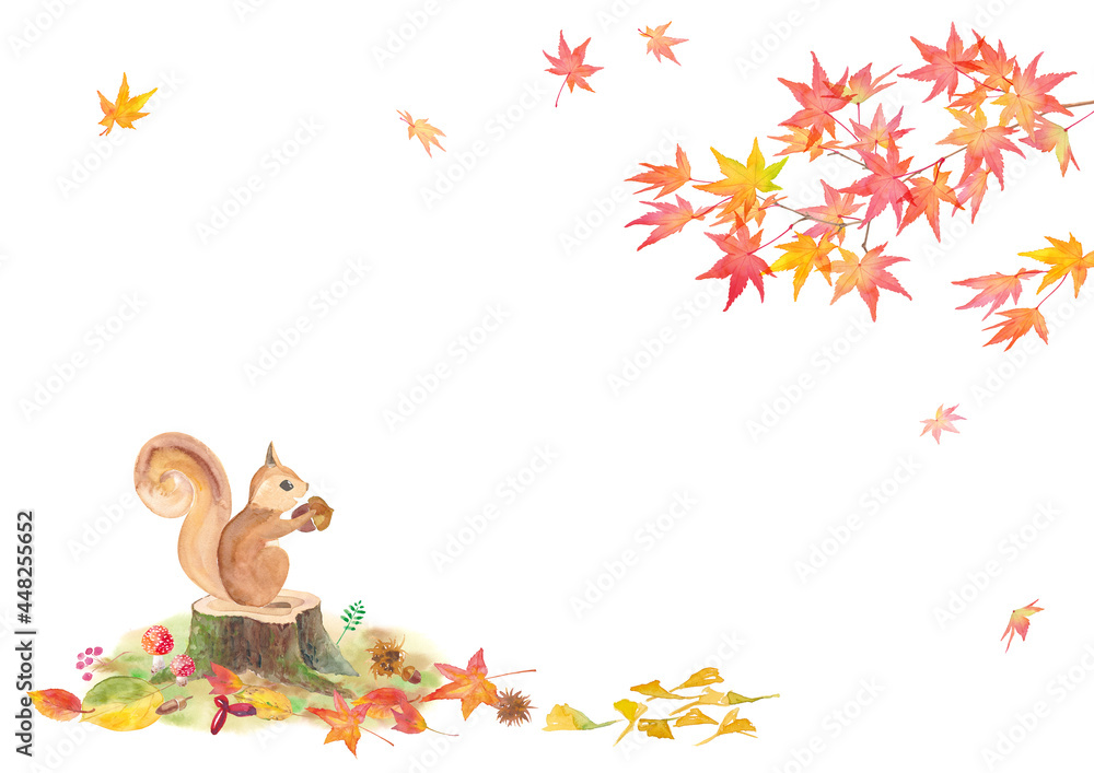 どんぐりを持ったリスと紅葉の水彩イラスト。バナー背景。 どんぐりを持ったリスと紅葉の水彩イラスト。バナー背景。