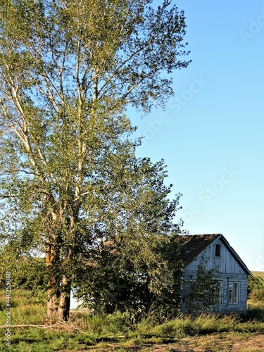 landscape with trees and old house