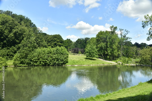 Pelouses et bois autour du petit étang au parc de Woluwe à Woluwe-St-Pierre 