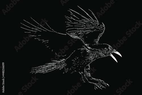 raven drawing in scratch style. vector isolated elements on the black background.