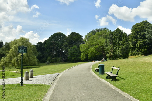 Coin de repos le long d'un chemin en bitume au parc de Woluwe à Woluwe-St-Pierre