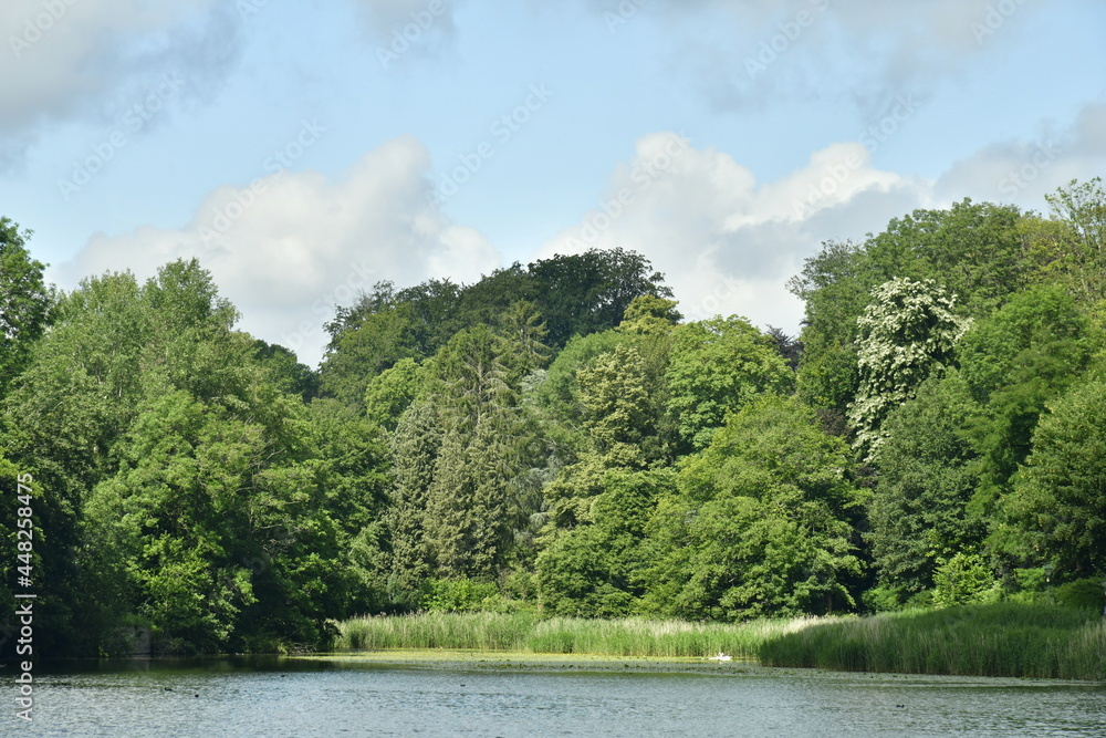 Contraste entre l'ombre et les éclaircies sur la nature luxuriante entourant l'un des étangs du parc Boitsfort à Watermael-Boitsfort Contraste entre l'ombre et les éclaircies sur la nature luxuriante entourant l'un des étangs du parc Boitsfort à Watermael-Boitsfort