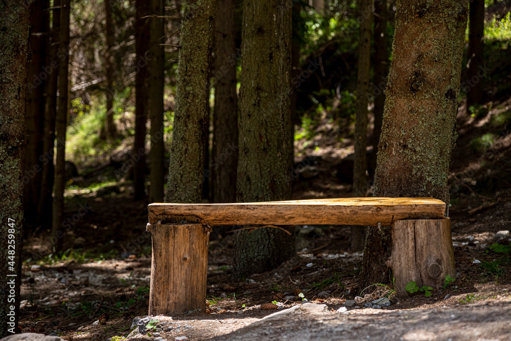 A beautiful wooden bench stands in the woods. A beautiful wooden bench stands in the woods.