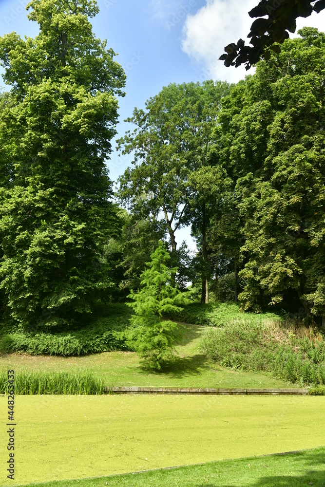 Végétation luxuriante en été dominant un étang couvert de mousse verte au parc des Trois fontaines à Vilvoorde Végétation luxuriante en été dominant un étang couvert de mousse verte au parc des Trois fontaines à Vilvoorde