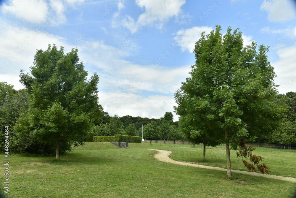 Obraz premium Chemin entre les arbres isolés au parc des Trois Fontaines à Vilvoorde 