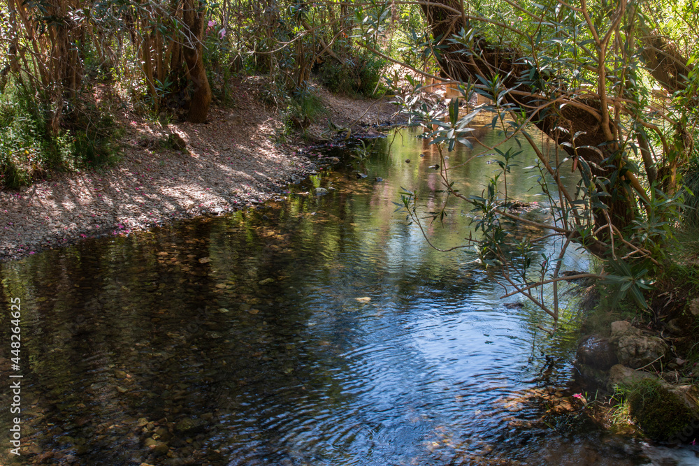 fresh stream of water on the region of Benemola