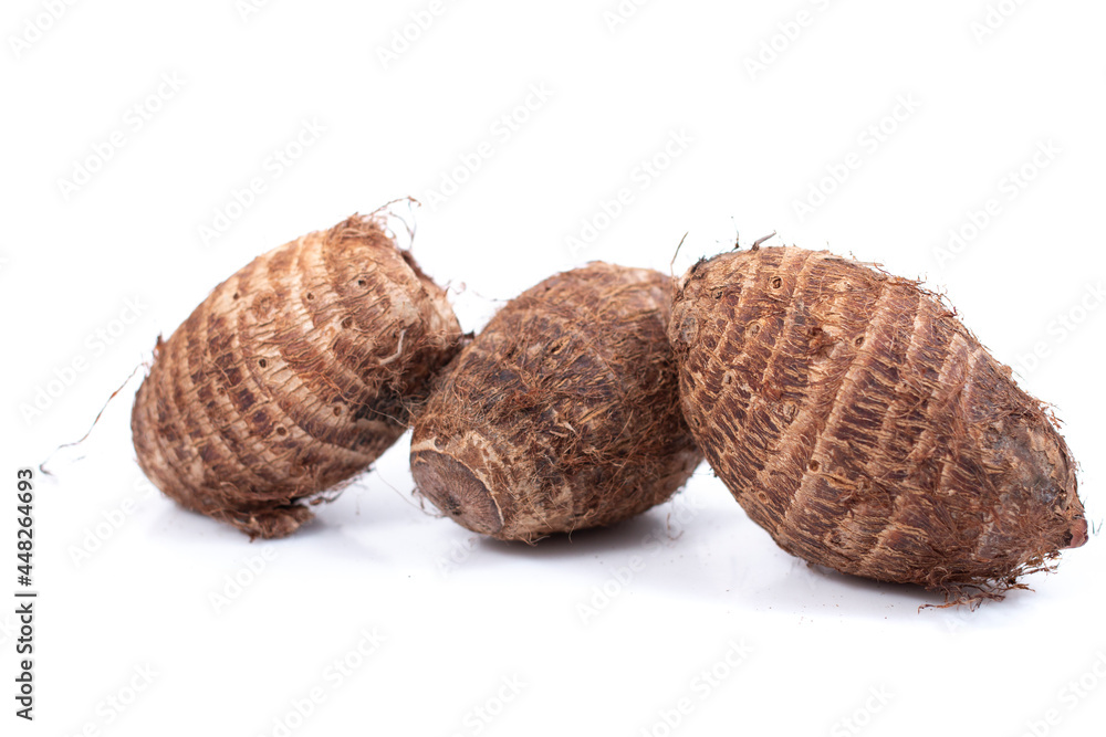 Taro corm roots Taro corm roots