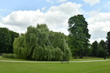 L'une des grandes pelouses entre les arbres divers au parc des Trois Fontaines à Vilvoorde