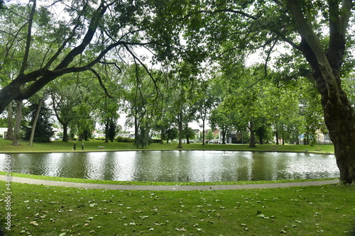 L'un des étangs entouré de bois au parc Hanssens à Vilvoorde  photo