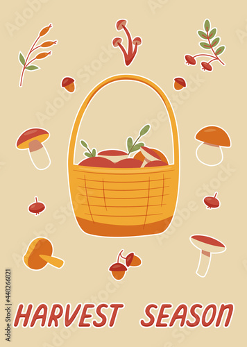 harvest season cartoon style basket with mushrooms
