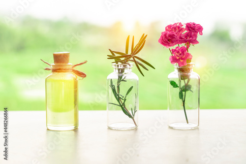 Bottle of essential oil with herbs on nature background 