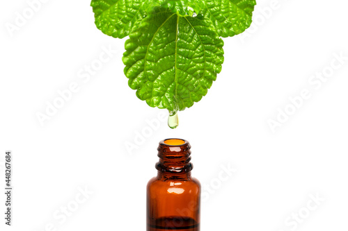 Mint Herbal, natural medicine oil drop falling down from a leaf to the bottle, with copy space