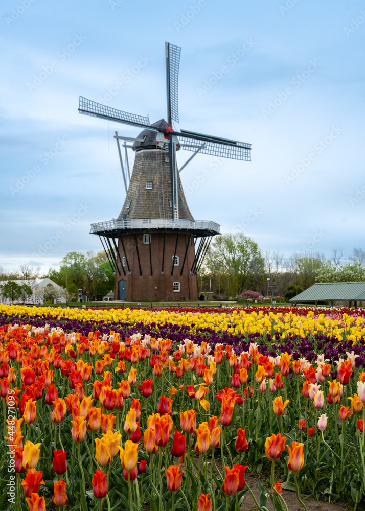 DeZwaan Windmill, Windmill Island Gardens, Holland, MI