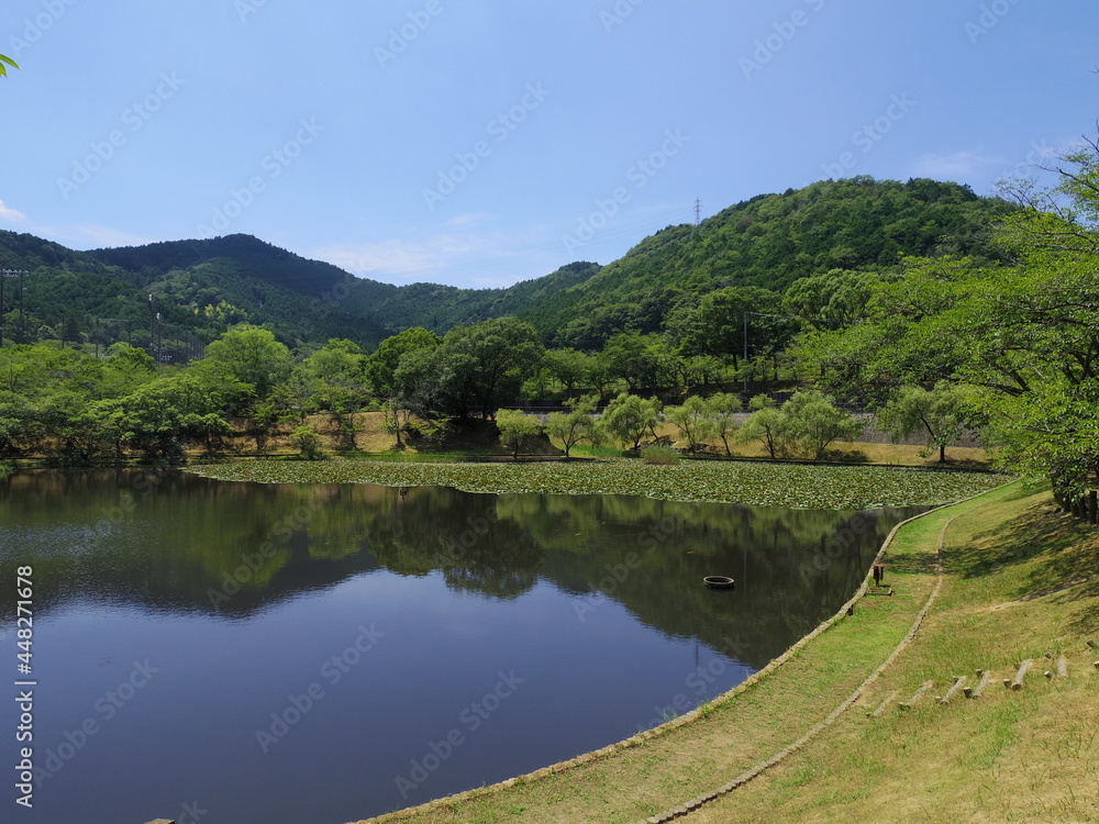 日本の池（愛媛県西予市宇和運動公園王子池）