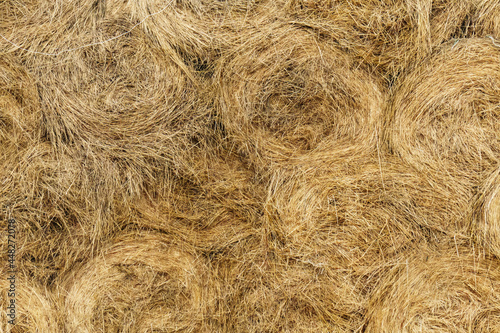 Obraz na płótnie Haystacks texture w salonie