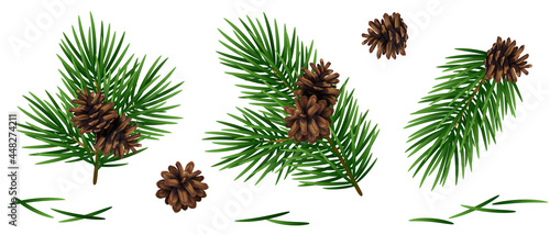 Christmas fir tree branches with brown pine cones and needles set isolated on white background. Vector illustration.