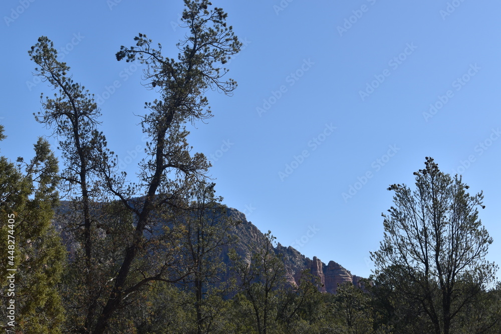Bell Rock Trailhead in Sedona Arizona