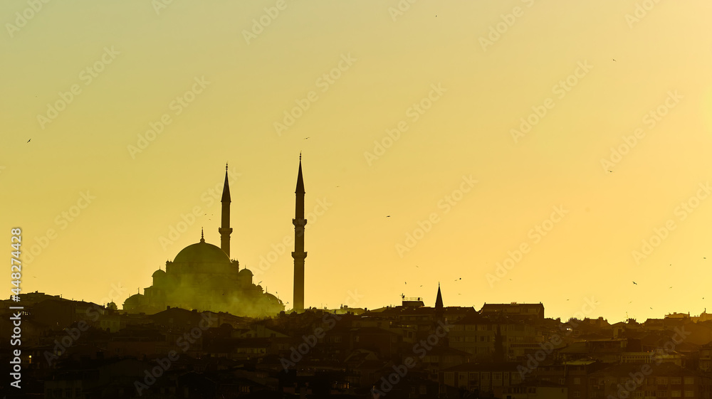 Silhouette of a Mosque Fatih in a fog and sunlight reflections. Vintage style.