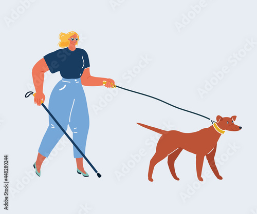 Vector illustration of Disability blind person walk with stick and guide dog isolated over white background
