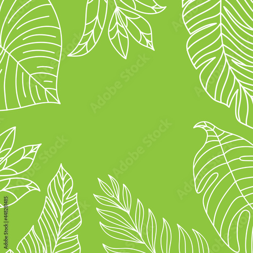 Vector tropical jungle frame with palm trees and leaves on white background for wedding quotes  Birthday and invitation cards greeting cards  print  blogs  bridal cards