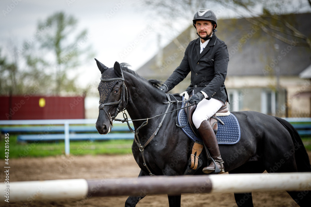 closeup portrait of black mare horse and adult man rider during equestrian showjumping competition in daytime in spring closeup portrait of black mare horse and adult man rider during equestrian showjumping competition in daytime in spring